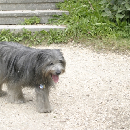 09 Florian im Juli 2006